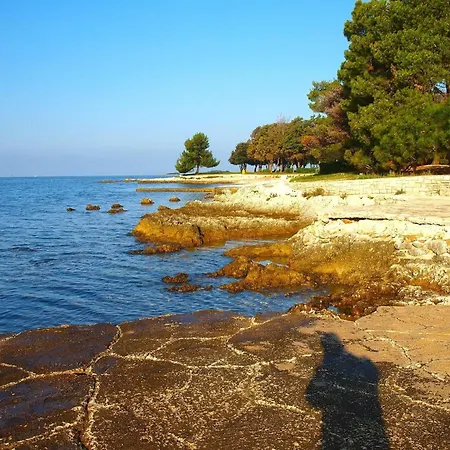 Fuer 3 Personen Ca 48 Qm In Cervar-porat, Istrien Istrische Riviera * Porec